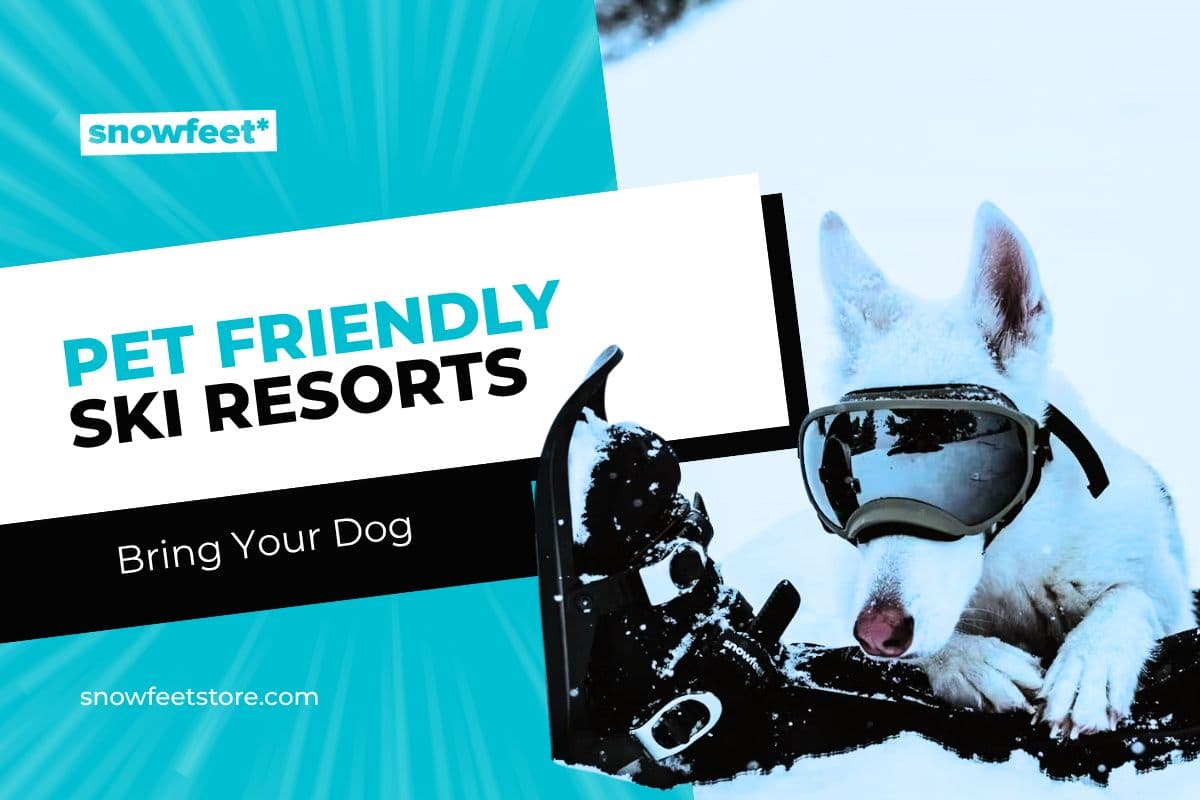 Best Pet-Friendly Ski Resorts: Where You Can Bring Your Dog - snowfeet*