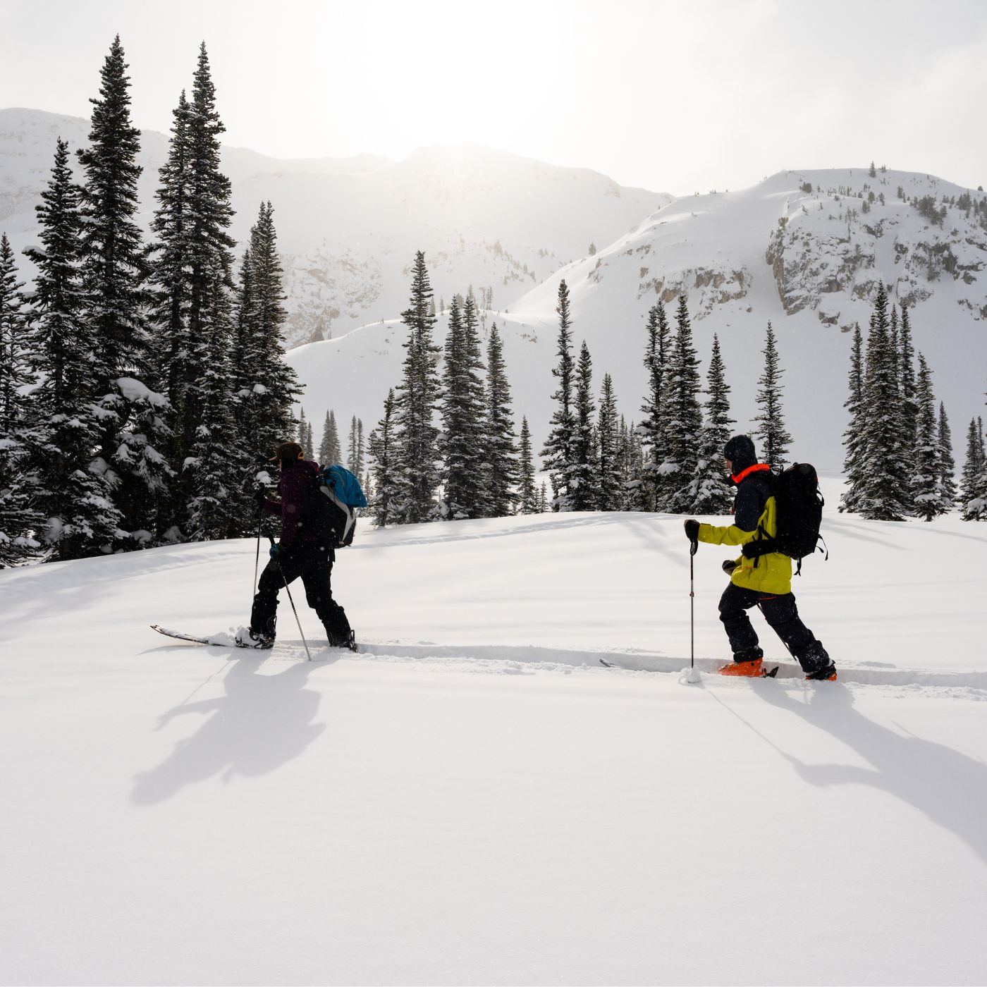 Backcountry skiing, snowfeet walkski backcountry skis, winter, adventures, short skis, snow